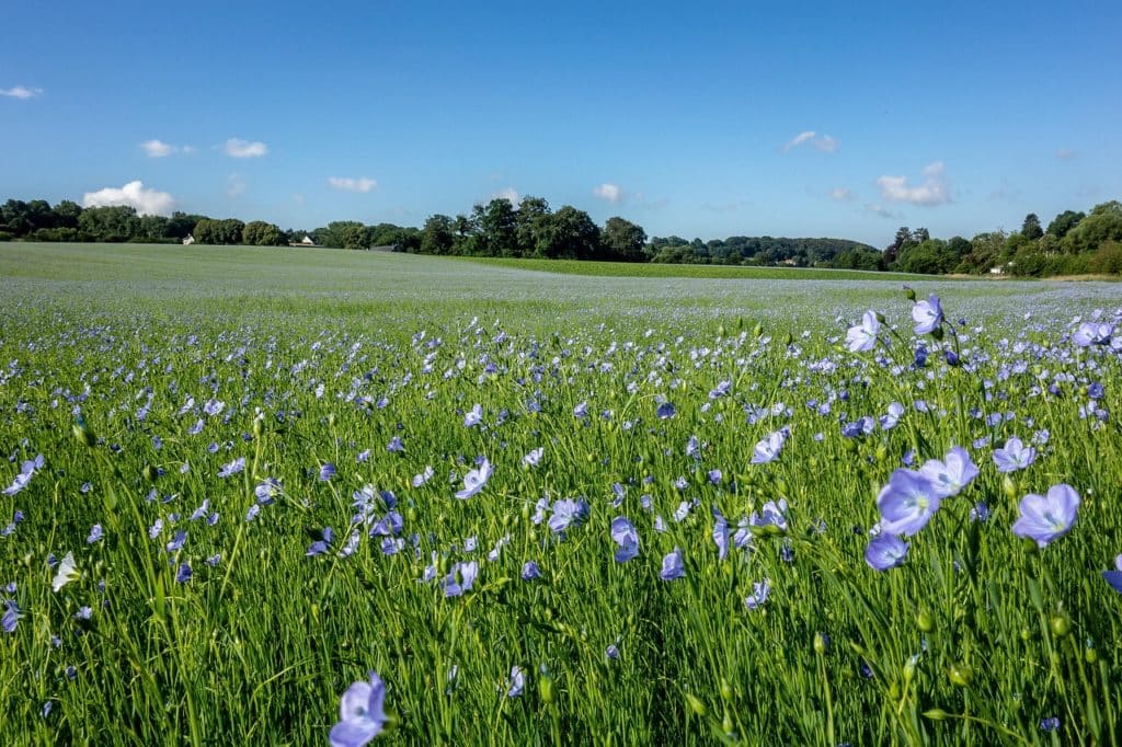 pré normandie