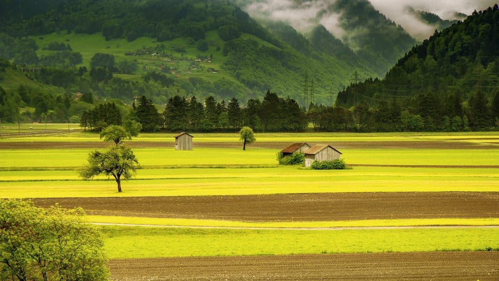 prairie en montagne