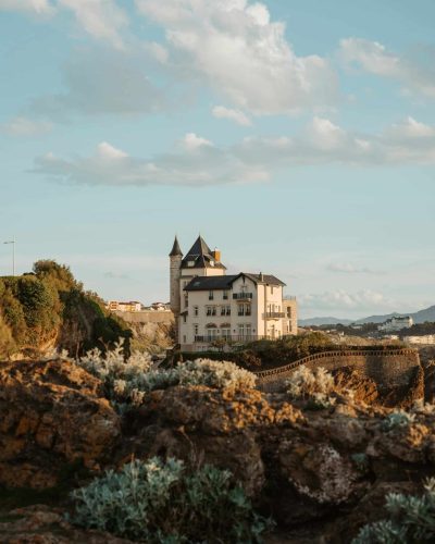 pexels-mathilde-11843502